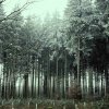 01 c Glühweinwanderung